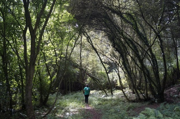 Las sendas son perfectas para dar un paseo diferente. A. Aguilera
