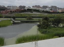 Imagen de una laguna generada en la vaguada tras las obras del parque. / M. DE LAS CUEVAS/