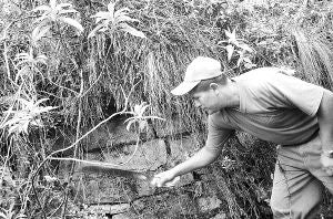 Wilmer Mondragón explora el complejo arqueológico peruano. /EFE/