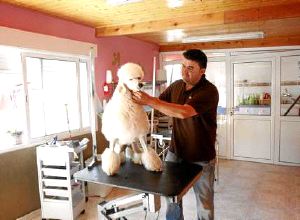 Rubén, el dueño de la Residencia Canina Besaya, juega con una de sus perras en la peluquería. / SANE/