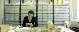 Una arqueóloga trabajando en los almecenes de la Universidad de Cantabria con el material recuperado durante las excavaciones. / DM/