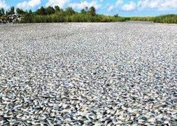A la pesca de la muerte en Luisiana