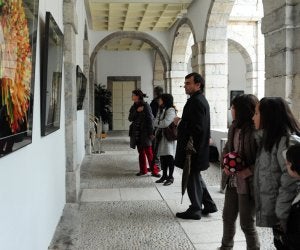 La muestra se puede visitar en el patio central del Parlamento. ::
DM/