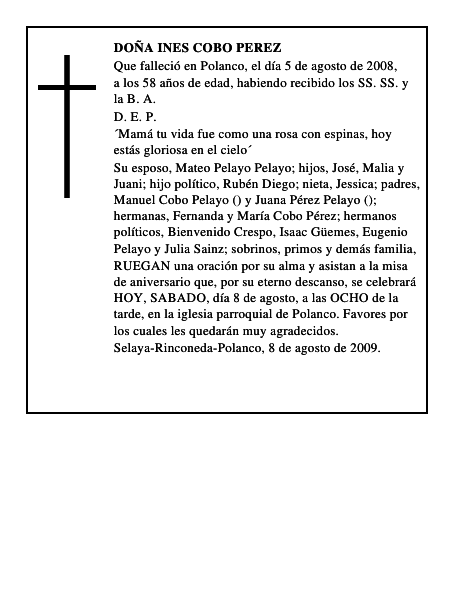DOÑA INES COBO PEREZ