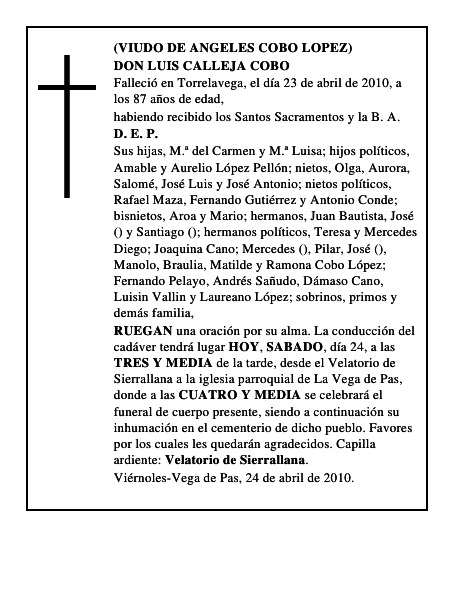 DON LUIS CALLEJA COBO