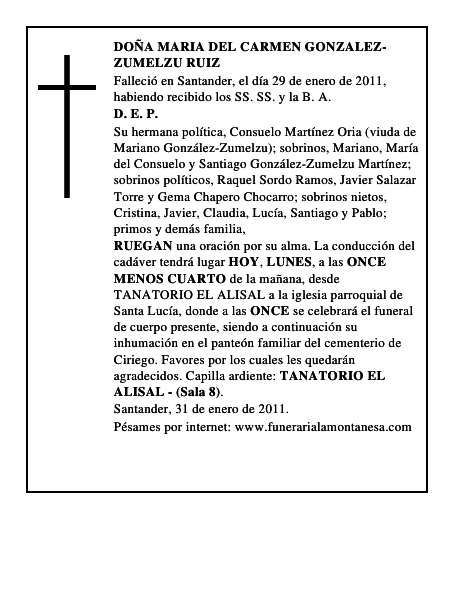DOÑA MARIA DEL CARMEN GONZALEZ-ZUMELZU RUIZ