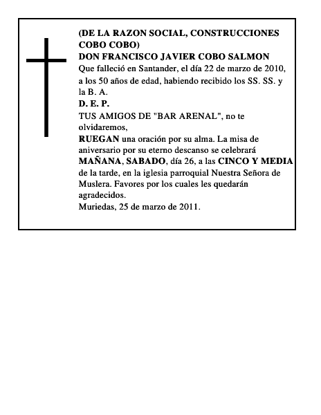 DON FRANCISCO JAVIER COBO SALMON
