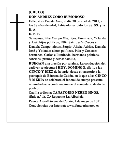 DON ANDRES COBO RUMOROSO