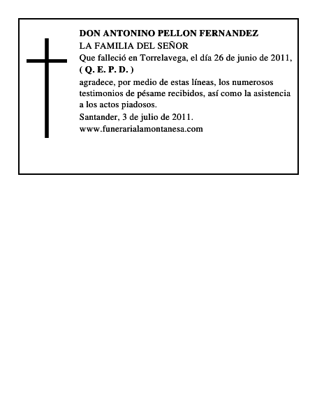 DON ANTONINO PELLON FERNANDEZ