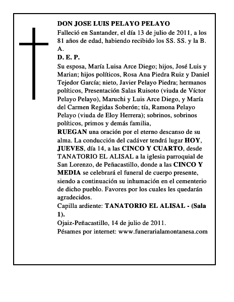 DON JOSE LUIS PELAYO PELAYO