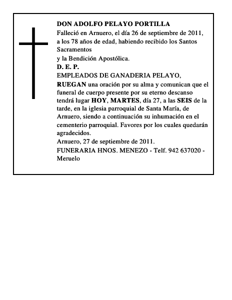 DON ADOLFO PELAYO PORTILLA