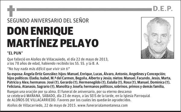 Enrique Martínez Pelayo