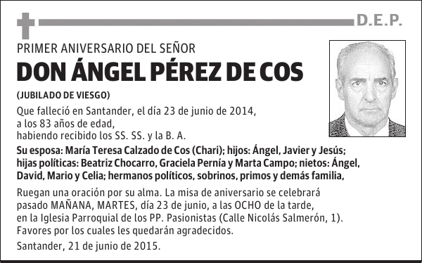 Ángel Pérez De Cos