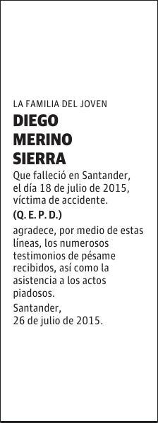 DIEGO MERINO SIERRA