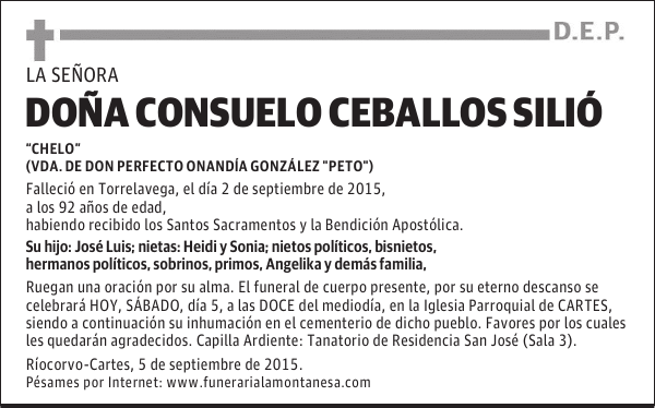 Consuelo Ceballos Silió