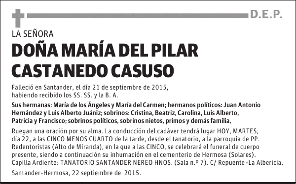 María del Pilar Castanedo Casuso