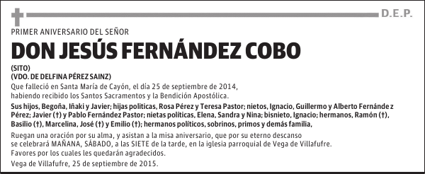 Jesus Fernandez Cobo