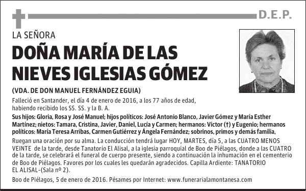 Maria de las Nieves Iglesias Gomez