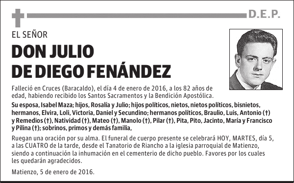 JULIO DE DIEGO FERNANDEZ