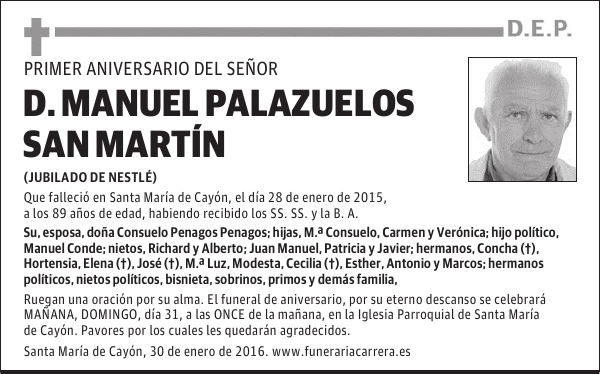 Manuel Palzuelos San Martín