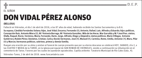 Vidal Perez Alonso