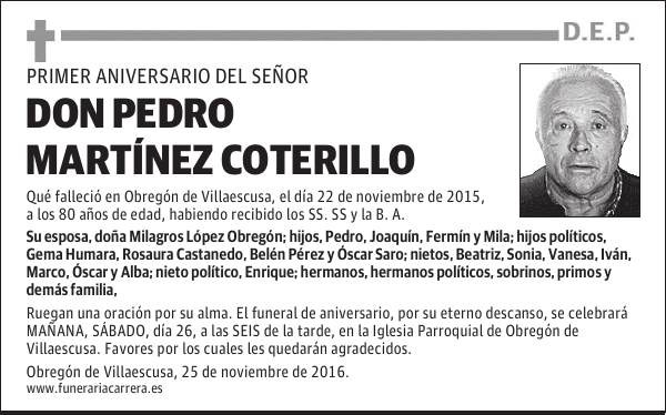DON PEDRO MARTÍNEZ COTERILLO