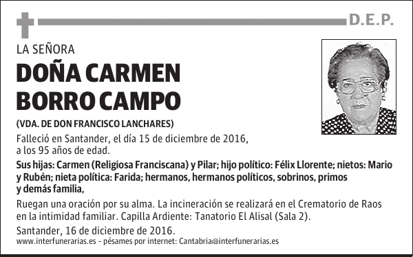 Dª. CARMEN BORRO CAMPO