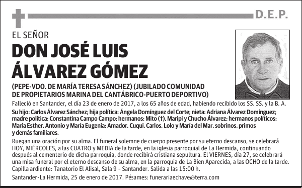 D. JOSÉ LUIS ÁLVAREZ GÓMEZ
