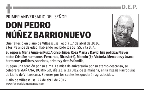 DON PEDRO NÚÑEZ BARRIONUEVO