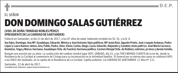 DON DOMINGO SALAS GUTIÉRREZ