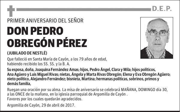 DON PEDRO OBREGÓN PÉREZ