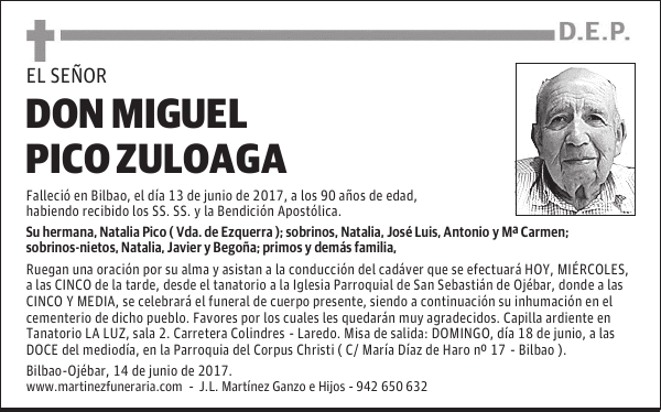 DON MIGUEL PICO ZULOAGA