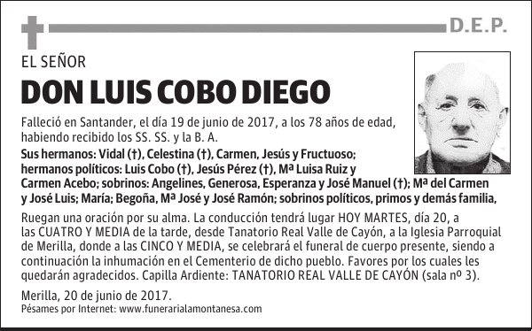 DON LUIS COBO DIEGO