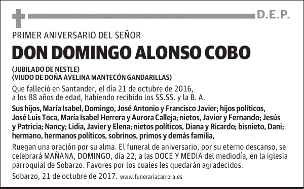 DON DOMINGO ALONSO COBO