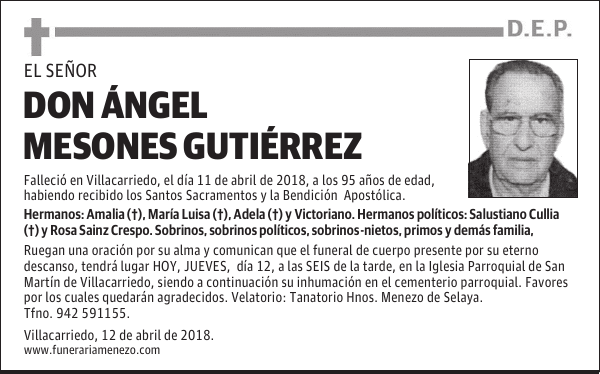 Don Ángel Mesones Gutiérrez