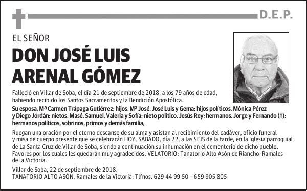 D. JOSE LUIS ARENAL GOMEZ