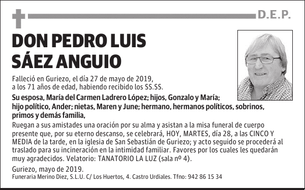 DON PEDRO LUIS SÁEZ ANGUIO
