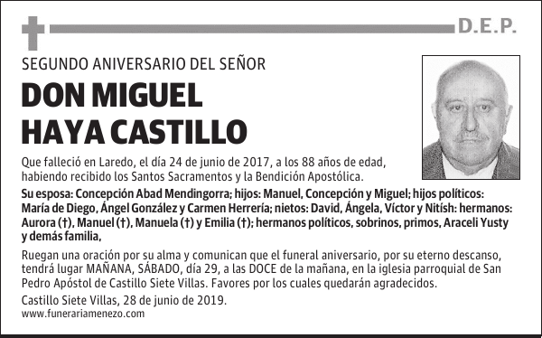 DON MIGUEL HAYA CASTILLO