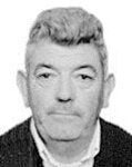 DON ANDRÉS PELAYO PÉREZ