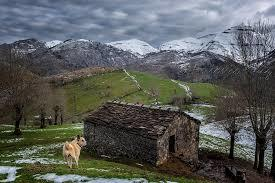 DON ULISES RODRÍGUEZ GÓMEZ