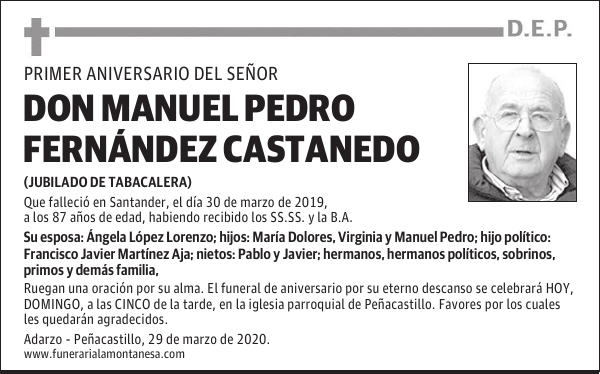 MANUEL PEDRO FERNANDEZ CASTANEDO
