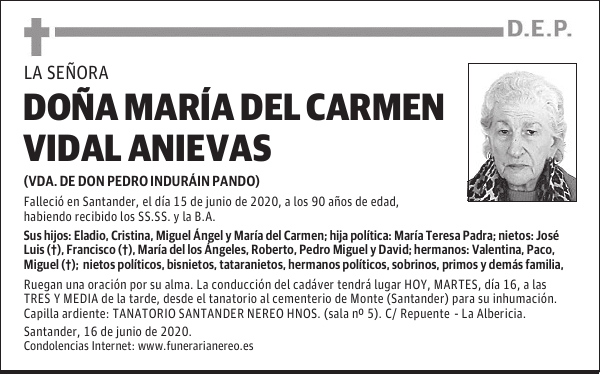 DOÑA MARÍA DEL CARMEN VIDAL ANIEVAS
