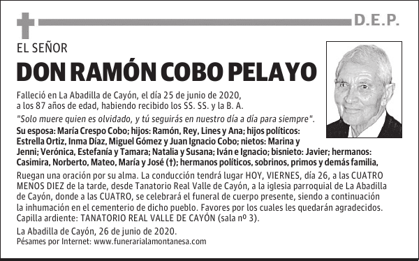 DON RAMÓN COBO PELAYO
