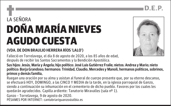 DOÑA MARÍA NIEVES AGUDO CUESTA