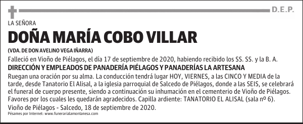 DOÑA MARÍA COBO VILLAR