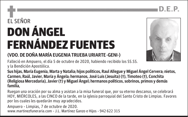 DON ÁNGEL FERNÁNDEZ FUENTES