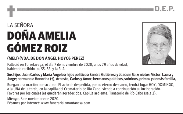 DOÑA AMELIA GÓMEZ ROIZ