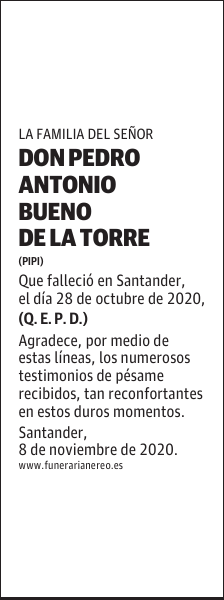 DON PEDRO ANTONIO BUENO DE LA TORRE