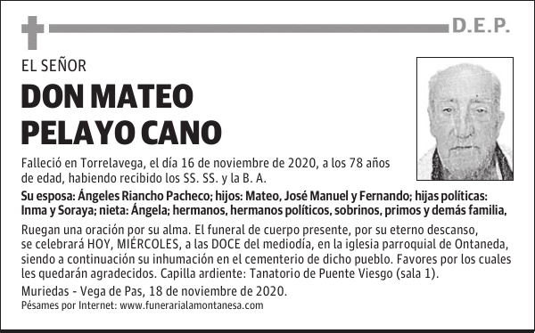 DON MATEO PELAYO CANO