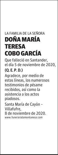 DOÑA MARÍA TERESA COBO GARCÍA